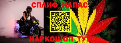 винт Дубна
