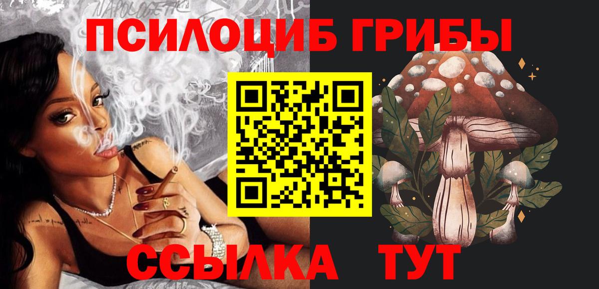 Галлюциногенные грибы Psilocybe  Вход с VPN  Курчалой 